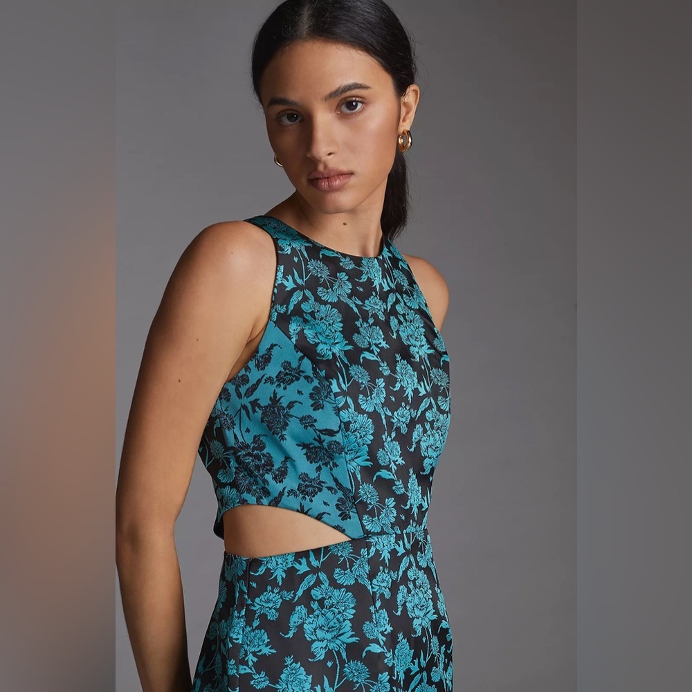 NWT Anthropologie Hutch Sz 12 Floral Jacquard Cut-Out Mini Dress
